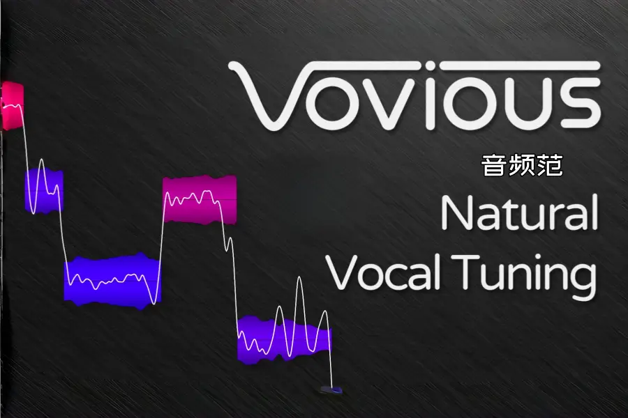 修音工具-DoublePi Technologies Vovious