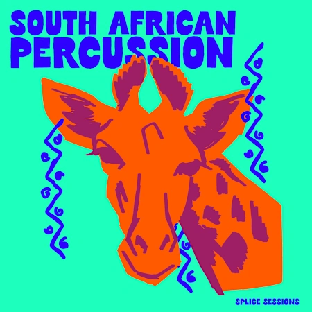 Splice Sessions South African Percussion