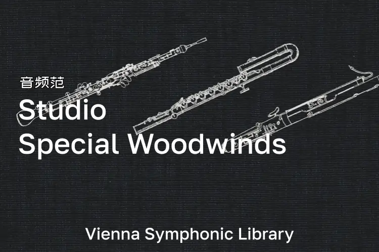 维也纳工作室特色木管-VSL Studio Special Woodwinds