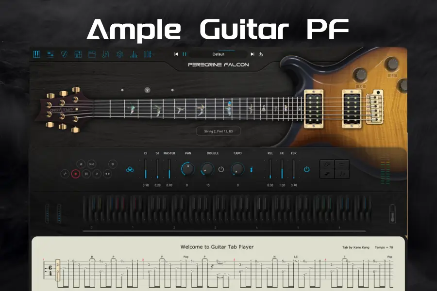 PRS Custom 24电吉他-Ample Sound Ample Guitar PF