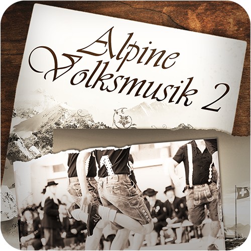 阿尔卑斯民谣乐器-Best Service ENGINE Alpine Volksmusik 2