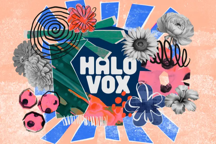 灵魂合唱氛围人声-Native Instruments Halo Vox KONTAKT